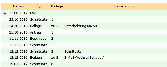 Akteninhalt eines Gerichtsakts